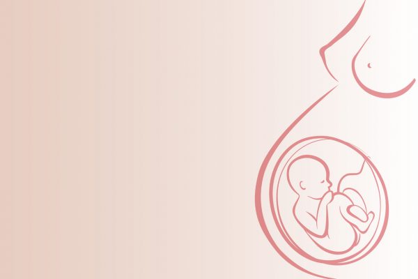 Bliss Baby Yoga Mari Notaras Optimal Foetal Positioning